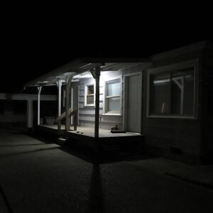 Damien Jurado - Birds Tricked Into The Trees  7-INCH SINGLE